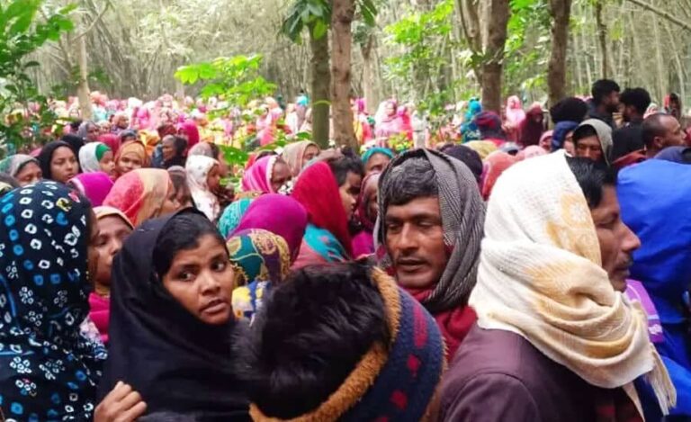 বাঁশ ঝাড়ের নিচ মিলল কলেজ শিক্ষার্থীর মরদেহ