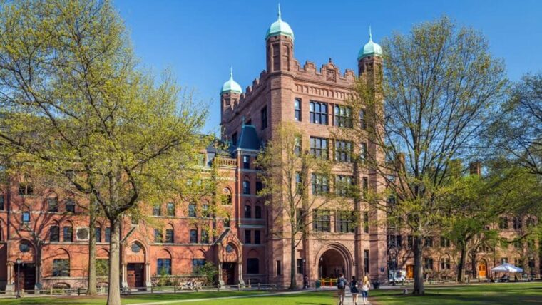 usa university