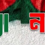 গণভোটে ‘হ্যাঁ’ জিতলে সংবিধানে যা বদলে যাবে, যা যুক্ত হবে